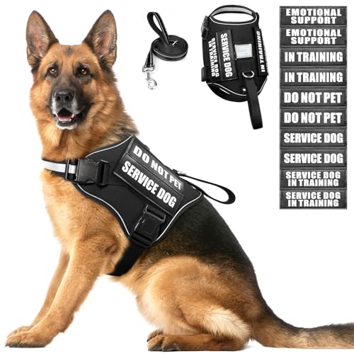 Service Dog Harness and Leash Set (X-Large / Black)