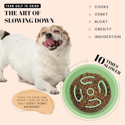 Slow Feeder Dog Bowls for Medium Breeds Fits Raised Feeding Station (Slow Feeder Green / 1.5 Cup - Fit 6.4-6.7'' Feeder Holes)