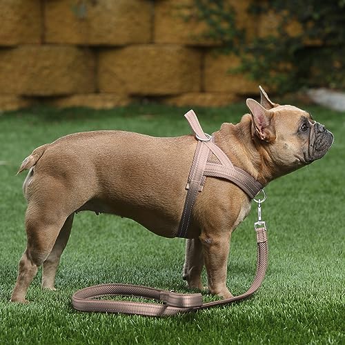 No Pull Dog Harness for Large Dogs (L: chest 25.2"-32.3" / Beige)
