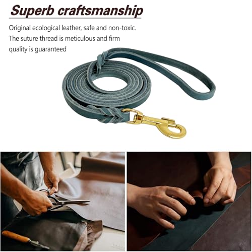 Leather Dog Leash 4ft x 1 (4ft x 1/2 inch / Blue)