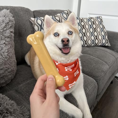 Power Chew Classic Bone Chew Toy for Dogs (Large)