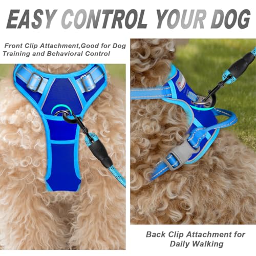 Dog Harness No Pull for Small Sized Dog Front Back Clips (Small(Chest:19.5-26") / Sapphire Blue & Blue)