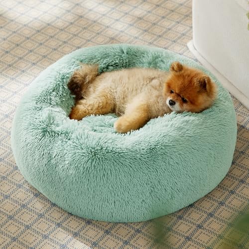 Calming Small Dog Bed Donut Washable Cat＆Puppy Bed (23"L x 23"W x 8"Th / Apple Green)