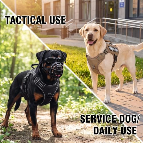 Dog Harness and Leash Set for X (Black / XL)