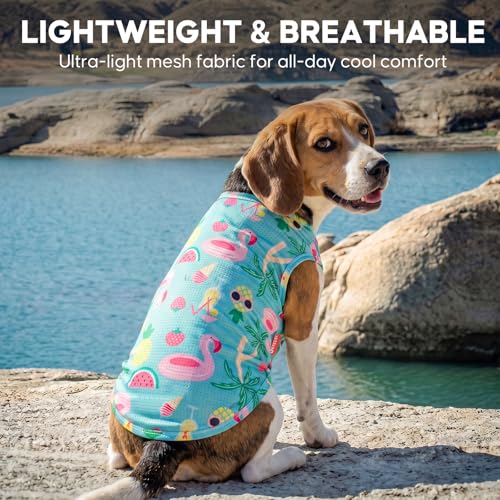 2Pack Dog Shirts for Small Dogs Breathable Mesh Tank Top (Small (4-7lbs) / 1# 2Pack (Flamingo+blue))