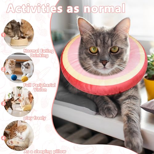 Cat Cone Collar Soft (Peach / Small)