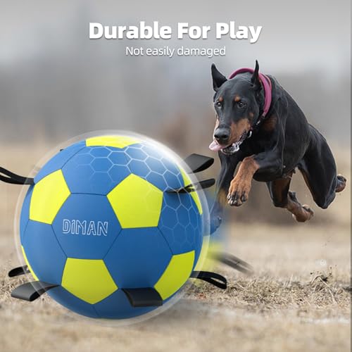 Herding Ball for Dogs with Straps (25 Inch / Blue Yellow)