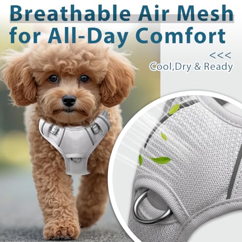 Dog Harness No Pull with ID Tag Pocket (Small(Chest:19.5-26”) / Grey)