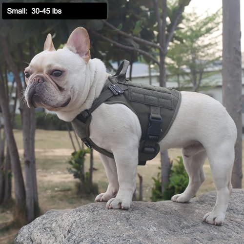Tactical Dog Harness for Small Dogs (Small (Pack of 1) / Green)