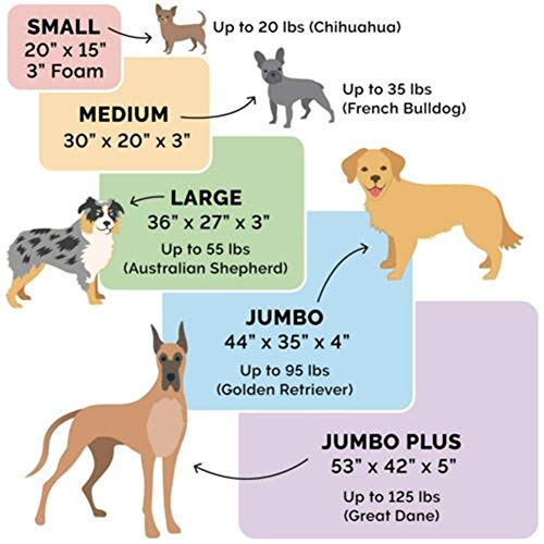 Orthopedic Dog Bed for Large (Large / Espresso)