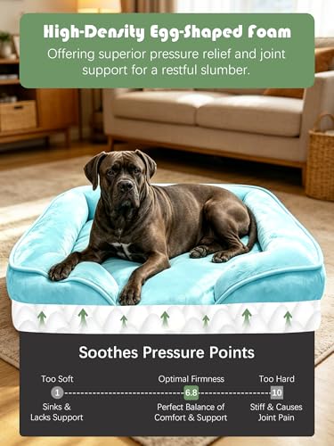 Orthopedic Dog Bed with Sides (53.0"L x 42.0"W x 8.0"Th / Ice Blue)