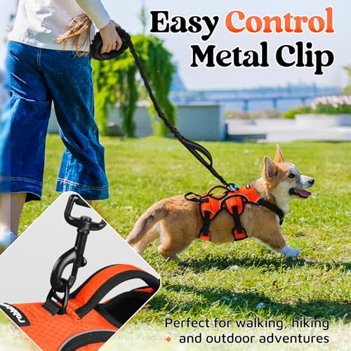 Escape Proof Dog Harness for Small (Orange / Small)