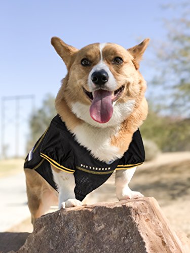 NFL PITTSBURGH STEELERS DOG Jersey (X-Large / Pittsburgh Steelers)