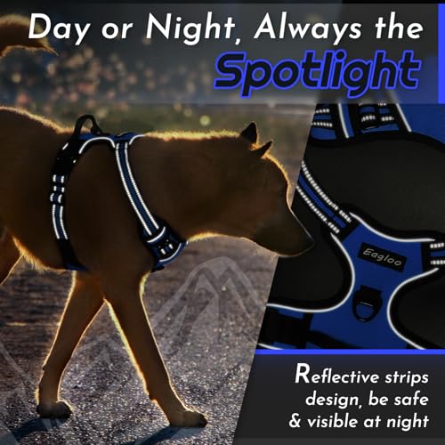 Dog Harness for Large Dogs (X-large / Blue)