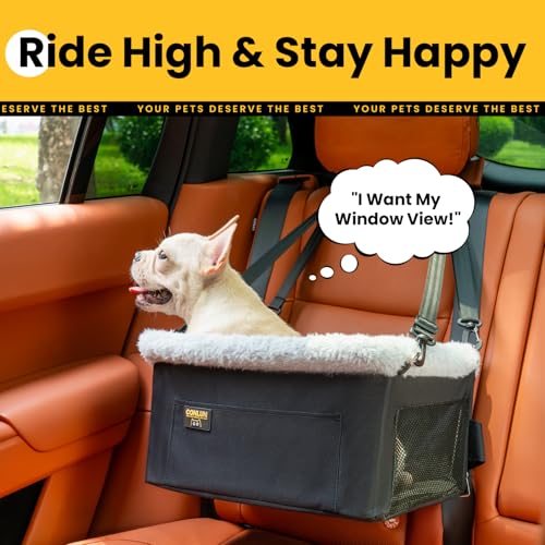 Dog Car Seat Booster (Black / 1 Pack-Small Dogs under 20lbs)