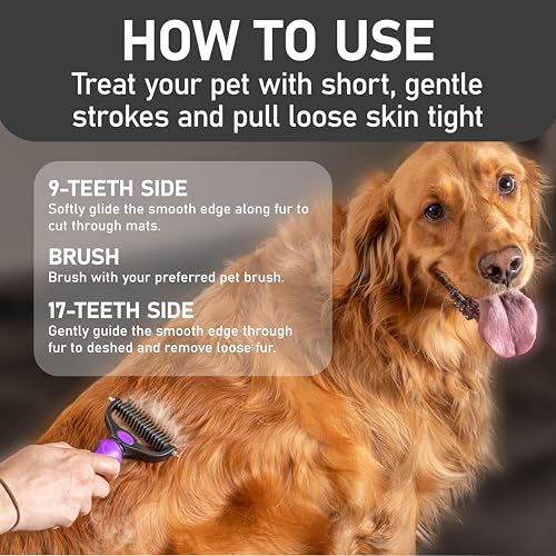 Pet Grooming Brush (Purple / L)