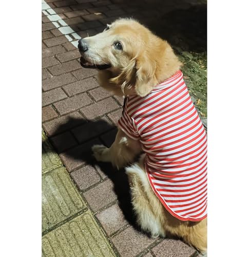 Turtleneck Dog Shirt Cute Doggie Embroidery Super Soft Dog Sweatshirt Stretchy Striped Puppy Pullover for Cats Small Medium Large Dogs (Red Striped / XXXX-Large)