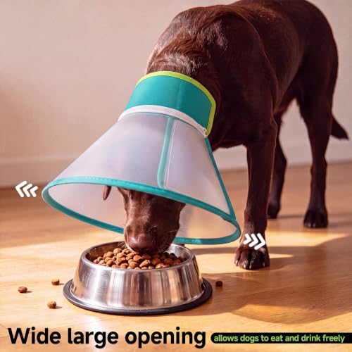 Dog Cone Collar to Stop Licking (Green / S)