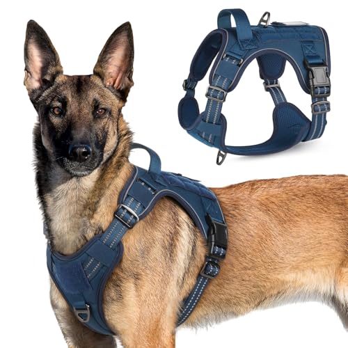 Tactical Dog Harness for X (Blue / X-Large)
