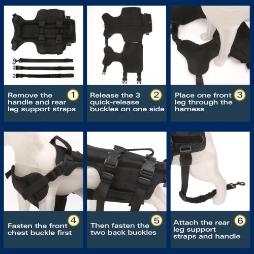 Dog Lift Harness for Rear Leg Support (Black / L)