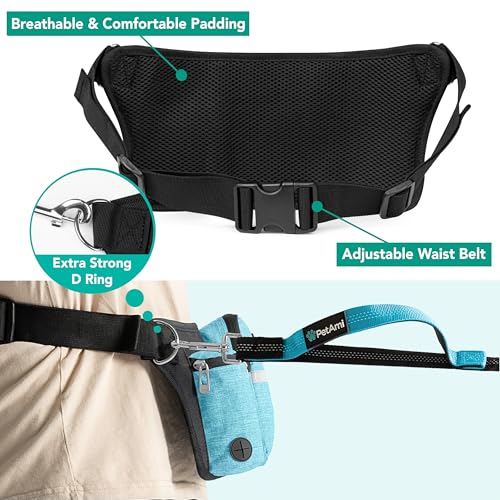 Premium Hands Free Dog Leash for 2 Dogs (Turquoise Blue / 2 Leashes)