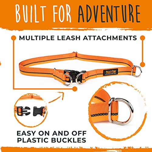 Hands Free Dog Leash (48" / Orange)
