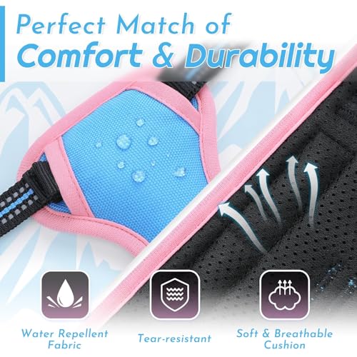 Dog Harness for Small Dogs (X-Small / Pink & Blue)