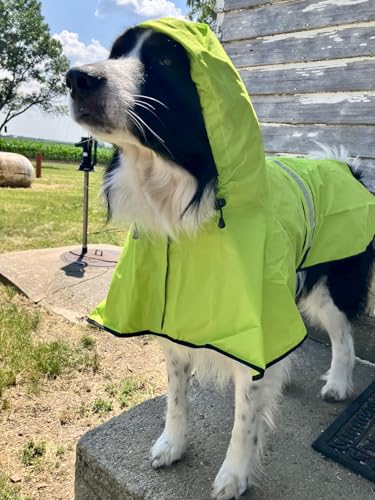 Dog Raincoat Hooded Poncho (Green / Small)
