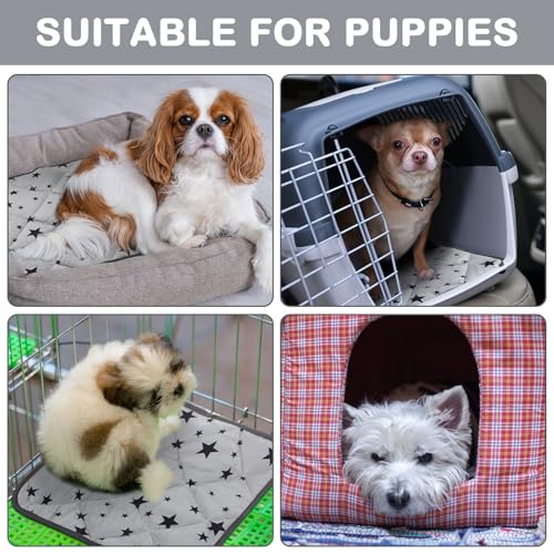 4 Pack Self Warming Cat Bed Self Heating Cat Mat Star Pattern Soft Dog Crate Pad Thermal Pet Mat Anti Slip Kennel Dog Washable Warming Bed for Outdoor Indoor (12 x 12 Inch / Gray)