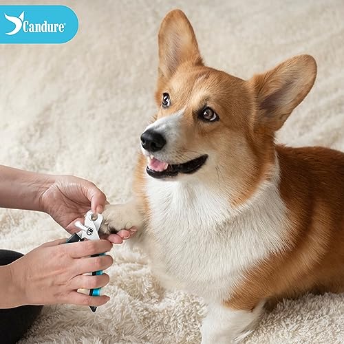 Dog Nail Clippers and Trimmer with Safety Guard to Avoid Over (Blue / Large to Medium pets)