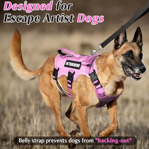 Escape Proof Dog Harness with Double Handle+4 Removable Patches (Large / Pink)