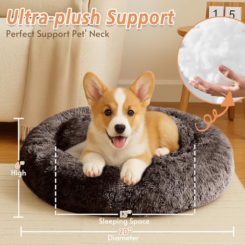 Calming Small Dog & Cat Bed for Indoor Cats (Chocolate / 20.0"L x 20.0"W x 6.0"Th)