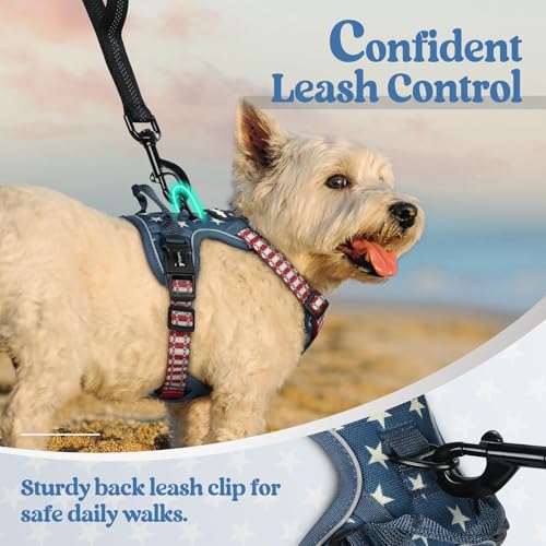 Dog Harness No Pull for Small Dogs with 2 Leash Clips (X-Small / Blue Star)