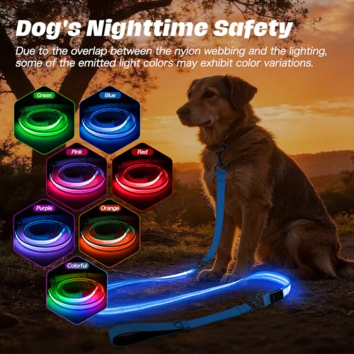 Light Up Dog Leash (Blue / 6FT)