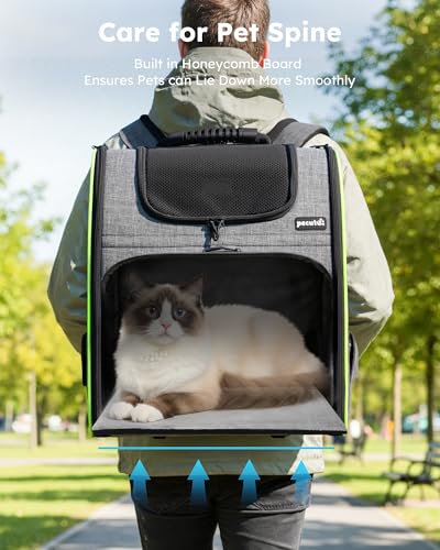 Cat Backpack Expandable (Grey / 15.4"L x 11.0"W x 19.0"H)