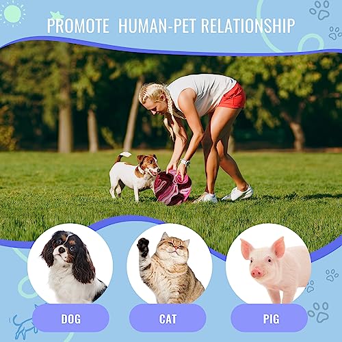 Pet Snuffle Ball (Fantasy pink / 10cm)
