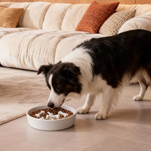 Ceramic Slow Feeder Dog Bowls (White Bone)