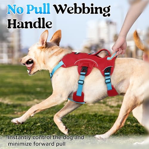 Escape Proof Dog Harness for Medium (Sky Blue & Red / Medium)