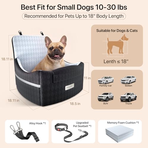 Elevated Dog Car Seat Booster for Small (Grey)