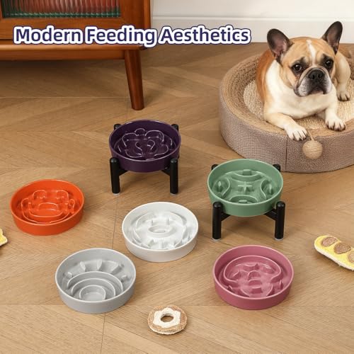 Elevated Slow Feeder Dog Bowl (White / S（1 Bowl with Stainless Steel Stand）)