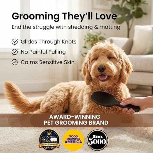 Gold Pin Brush For Dogs (Gold Pins)