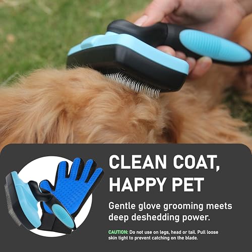 Pet Grooming Brush (C1 - Brush & Gloves / Large)
