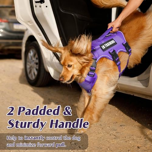 Escape Proof Dog Harness with Double Handle+4 Removable Patches (Large / Purple)