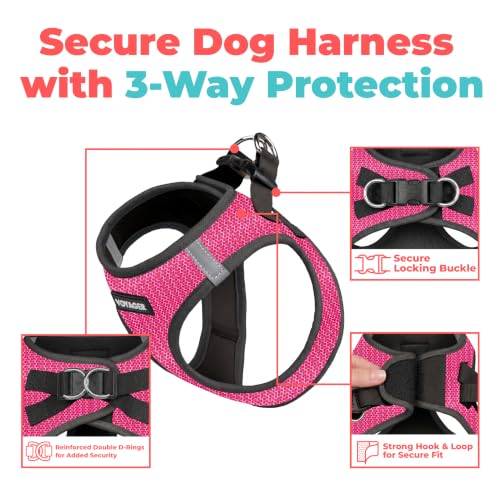 Voyager Step in Air Dog Vest Harness (Fuchsia 2-Tone / XL (Chest: 20.5 - 23"))