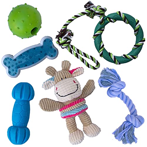 Puppy Chew Toys for Teething