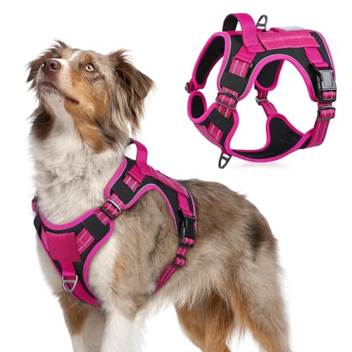 Tactical Dog Harness for Medium (Black & Rose Red / Medium)