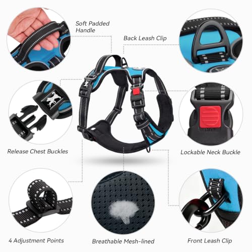 No Pull Dog Harness Large with Front Clip & Neck Release Buckle (XL / Blue)
