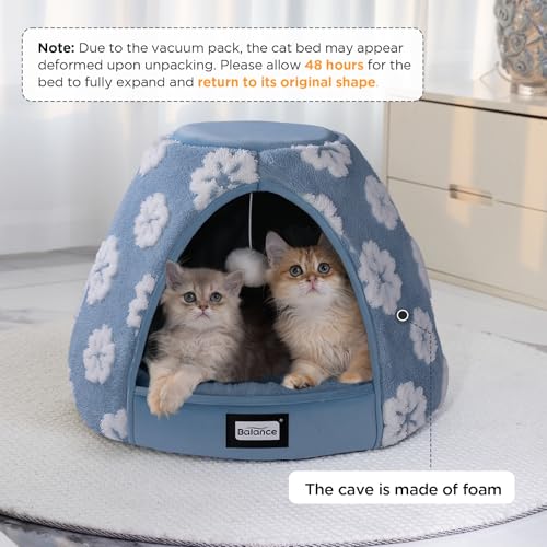 Cat Beds for Indoor Cats (19"L x 19"W x 16"Th / Blue)