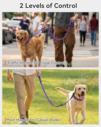 Tactical Bungee Dog Leash (Purple)