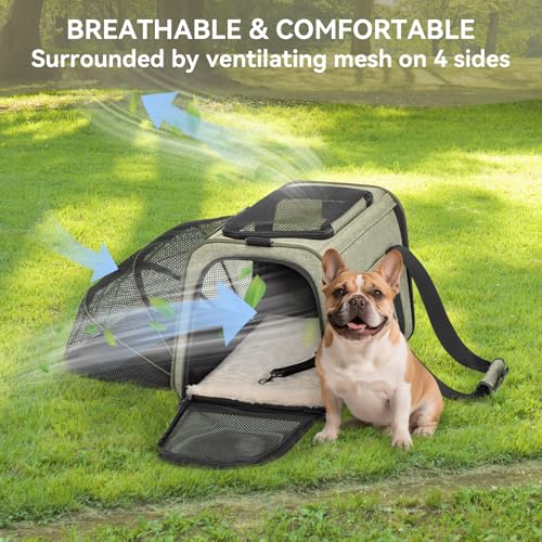 Large Expandable Cat Carrier for Travel (19"L x 12"W x 12"H / Green)